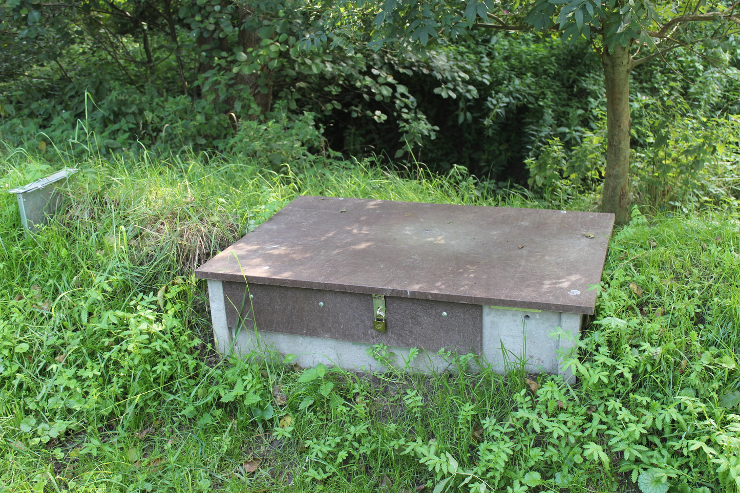 In der Wiese installierte Raubwildfalle mit Beton-Unterbau und brauner Deckplatte. Die verschlossene Klappe ist mittig mit einem Vorhängeschloss gesichert. Die Umgebung ist bewachsen mit hohem Gras und Farn, im Hintergrund stehen Bäume und Sträucher.