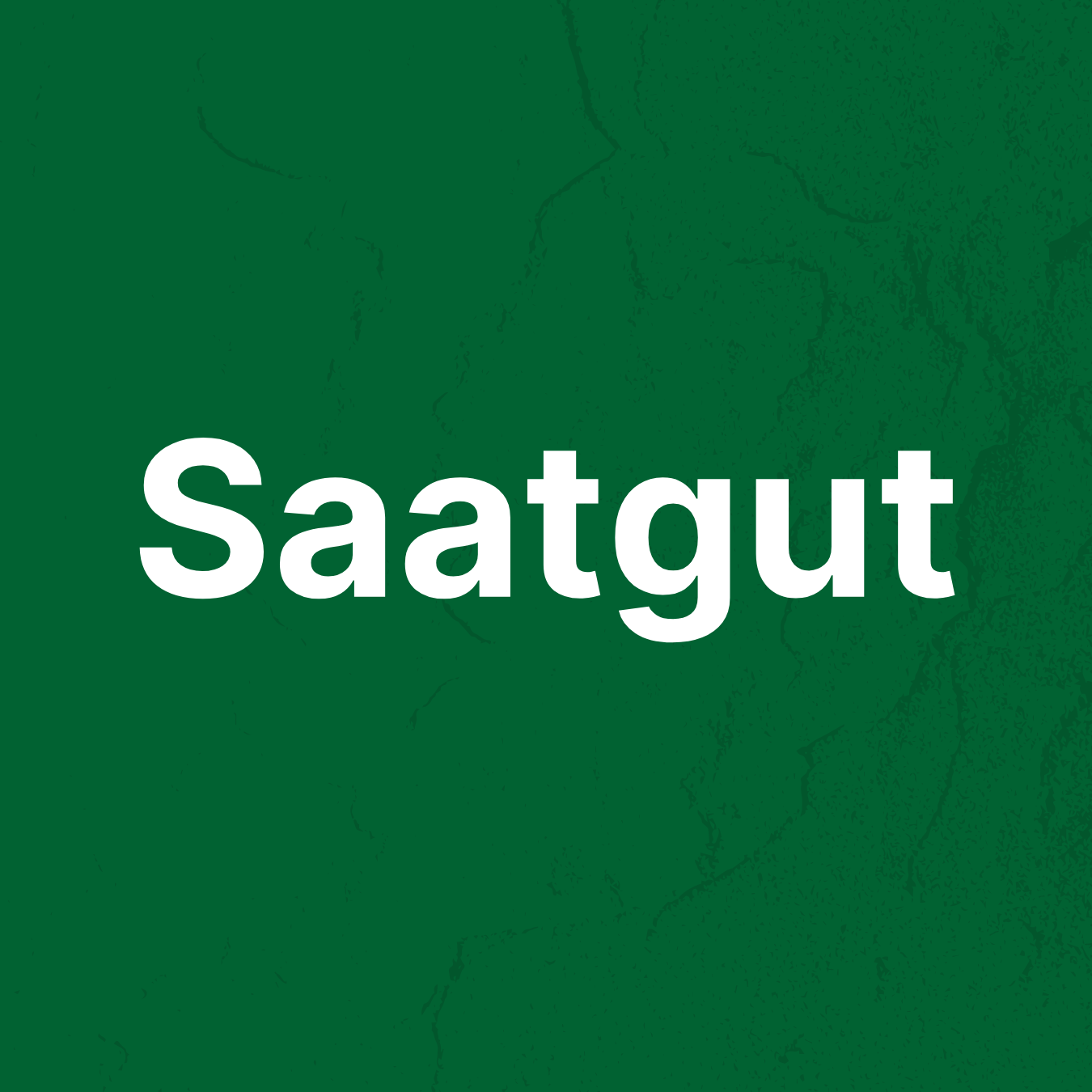 Saatgut