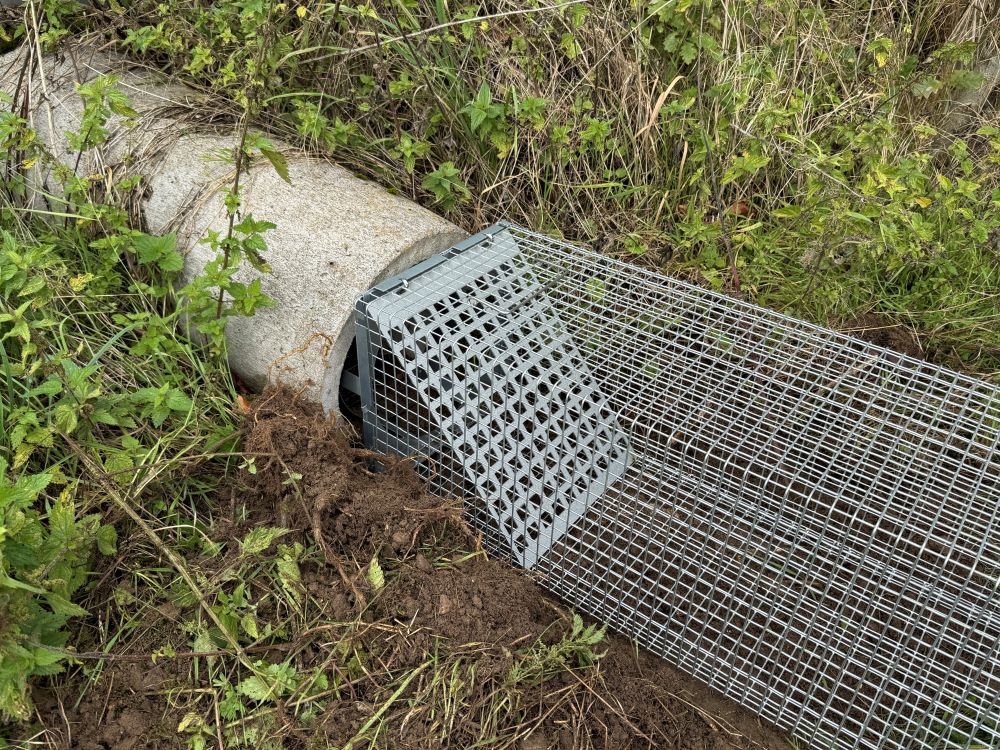 Trapperprofi Abfangkorb 119 cm