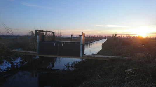 Auf dem Bild ist eine Fangbrückenfalle mittig auf einer Holzbrücke über einem Graben installiert. Die Falle ist zwischen zwei Holzträgern auf der Brücke fixiert, die Wasserfläche darunter spiegelt den rot-goldenen Abendhimmel. Im Hintergrund ist eine winterliche Wiesenlandschaft mit Restschnee und Baumreihe am Horizont zu erkennen. Die Szene zeigt den naturnahen Einsatz von Wildfangsystemen an Wechselstellen über Gewässer.