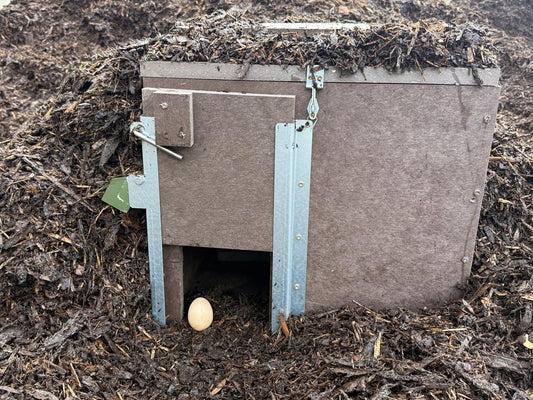 ie Abbildung zeigt eine kompakte Lebendfalle aus wetterfestem Verbundmaterial, aufgestellt in einem Haufen aus organischem Mulch oder Kompost. Die Falle ist mit seitlichen Verstärkungswinkeln aus Metall ausgestattet. Der Eingang ist bodennah freigelegt und mit einem braunen Ei als Lockmittel markiert. Die Oberseite der Falle ist mit Mulch bedeckt – zur Tarnung und besseren Wärmespeicherung. Diese Platzierung entspricht den Anforderungen für effektiven, tierschutzgerechten Lebendfang.
