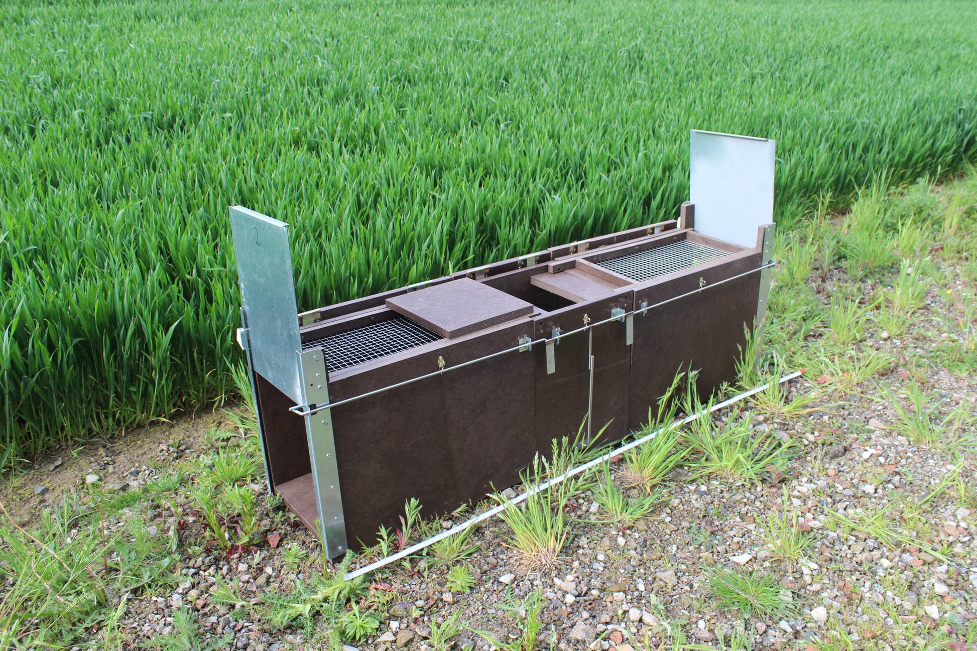 Doppelseitige Lebendfalle mit Trittbrettmechanik und Gitterdeckeln am Feldrand aufgestellt.

