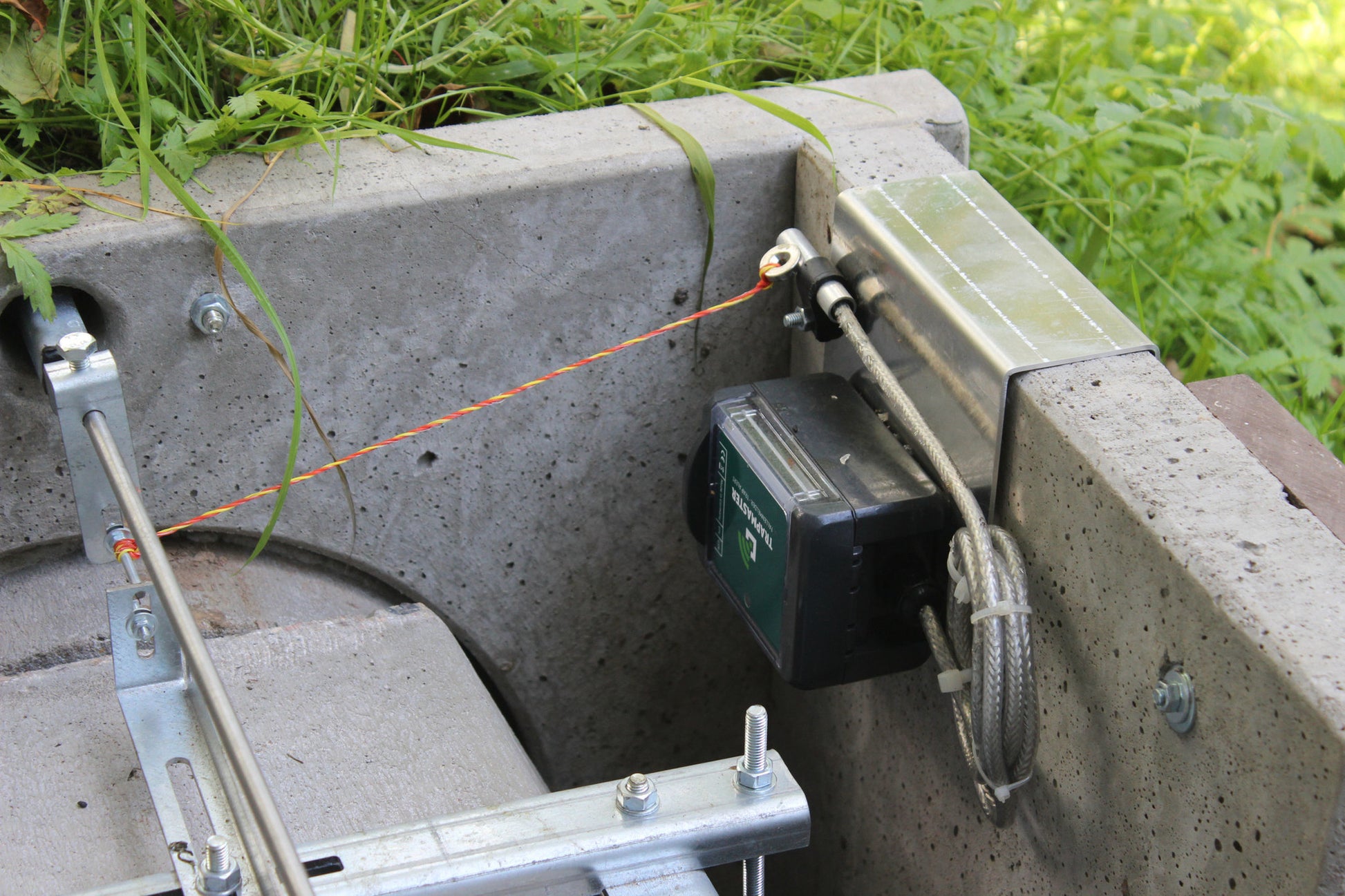 Ein Trapmaster-Fallenmelder ist an einem Betonelement befestigt. Das Sensorkabel ist mit Kabelbindern gesichert und führt zu einer Auslösevorrichtung, die über eine orangefarbene Reißleine mit einem Metallbügelmechanismus verbunden ist. Die Umgebung ist begrünt, der Melder ist funktional in eine Fangvorrichtung integriert.