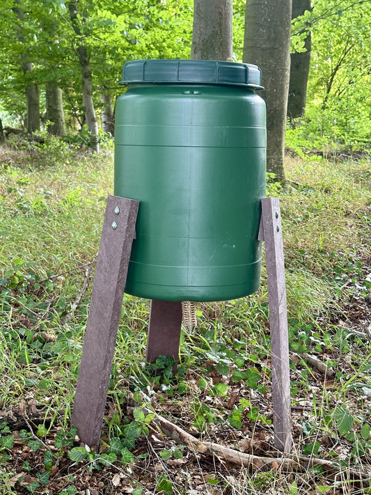 Fasanenfütterung im Wald