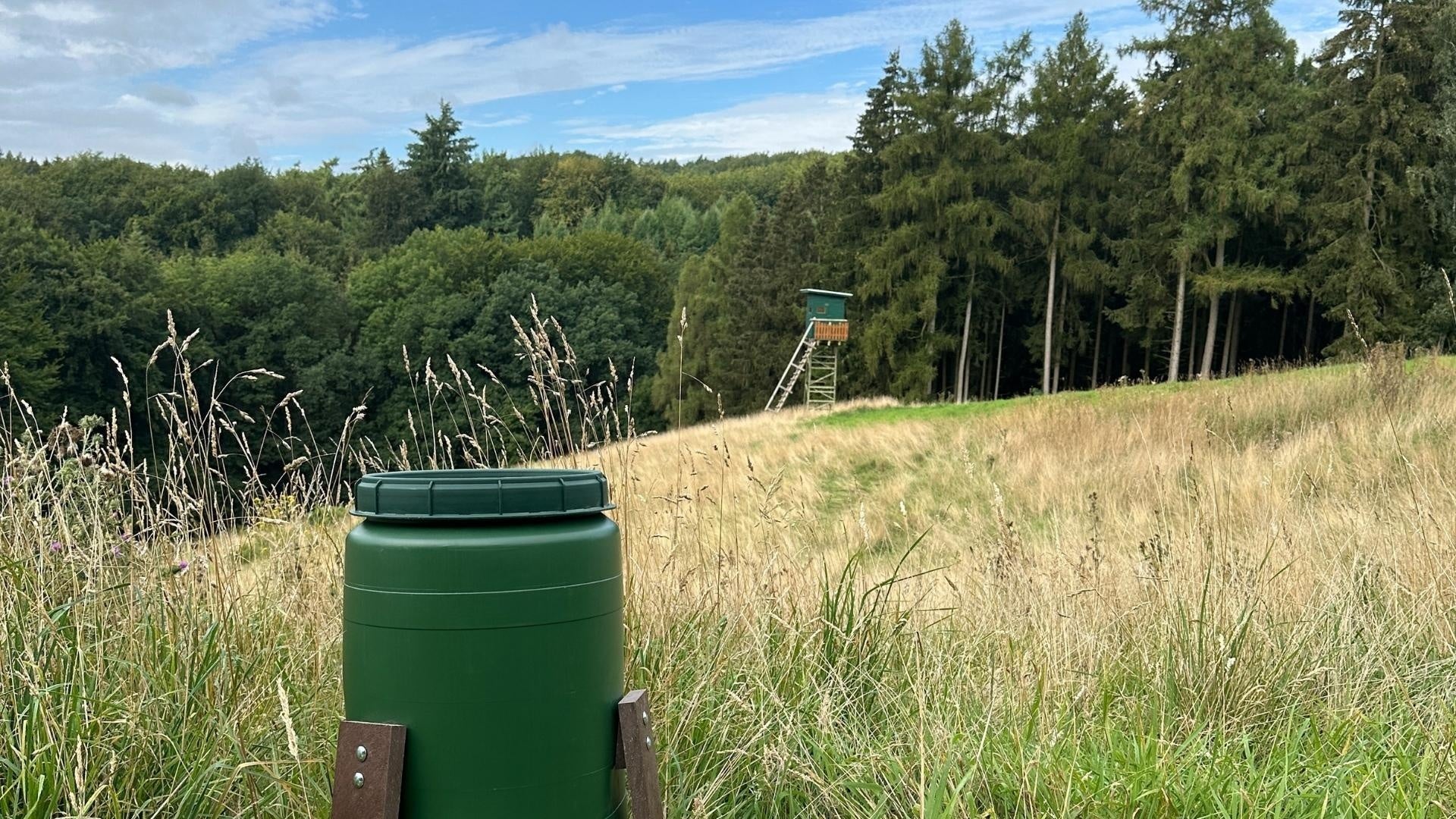 Landschaft mit Wald, Hochsitz und Futtertonne