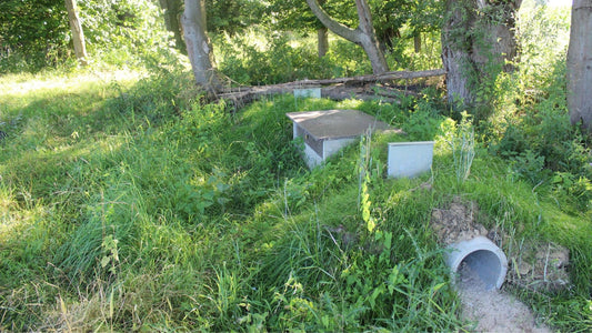 Die stationär installierte Rohrfalle ist in eine bewachsene Grasböschung am Waldrand eingelassen. Der rechte Bildbereich zeigt den offenen Betoneinstieg für Wild, der durch ein Erdtrapez leicht erhöht ist. Zentral befindet sich die verschlossene Revisionsbox mit Metallklappe, die über dem Fang- und Auslösebereich liegt. Ein weiteres Metallabdeckelement steht links neben dem Eingang. Die Umgebung ist naturbelassen und ideal für unauffällige, sichere Fangplatzierung.
