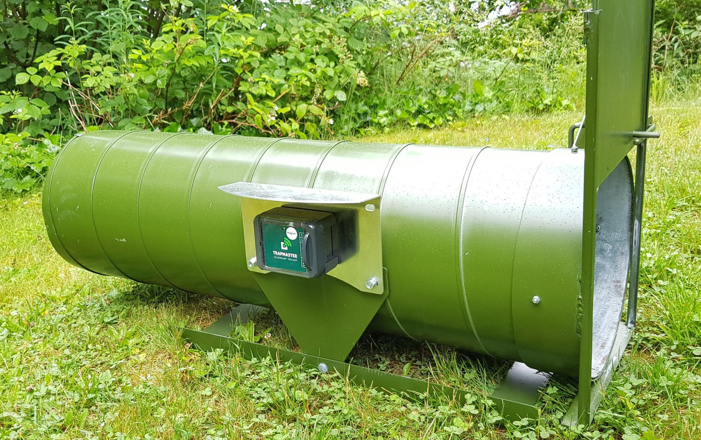 Grüne Metall-Lebendfalle in Röhrenform mit aufgestellter Eingangsklappe, auf einer Wiese platziert. Seitlich ist eine Verstärkungsplatte montiert und ein Fallenmelder von Trapmaster.